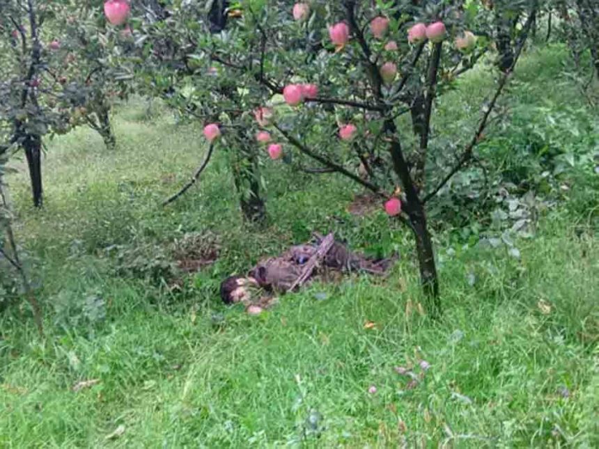Army encounters terrorists in Kulgam, Jammu: 2 terrorists killed