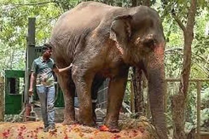 Supreme Court gives clean chit to Ambani's Vantara: Said- Buying and selling of animals is legal