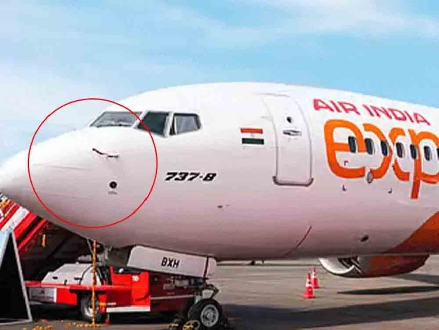 Bird hits flight from Vijayawada to Bengaluru