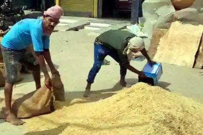 Record arrival of crops in the grain market, farmers gathered in large numbers