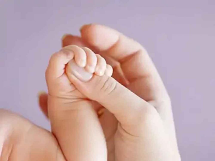 The number of births in the country decreased: 25 million were born in 2023
