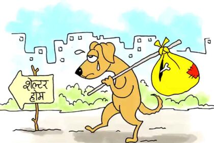 Supreme Court orders removal of stray dogs from schools and hospitals