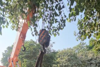 Mother cow was saved due to the efforts of Sumit Gaur and other cow devotees.