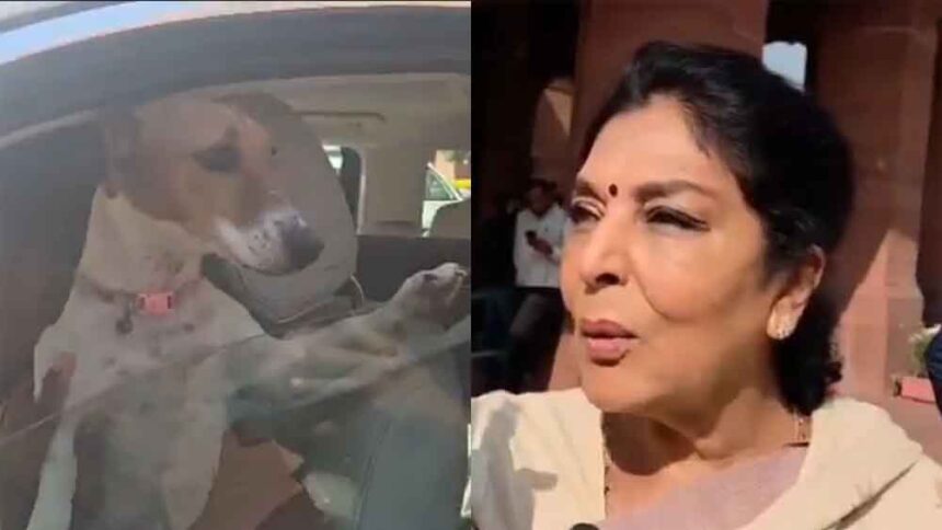 Congress MP Renuka Chowdhary arrives at Parliament premises with a dog