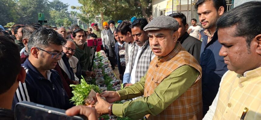 Former minister Moolchand Sharma distributed 5 lakh winter flower plants.