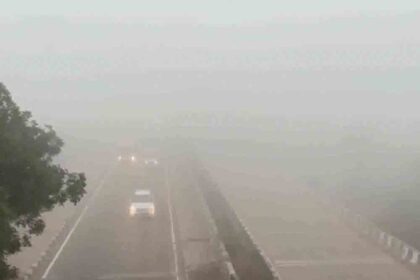 Temperature drops to 4°C in 5 cities of Rajasthan and Madhya Pradesh; schools closed in 8 districts of Uttar Pradesh.