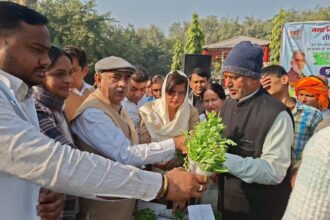 MLA Moolchand Sharma distributed two lakh flowering plants and issued a strict warning against illegal encroachments.