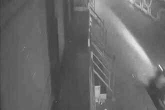 Bengaluru: The wife kept pleading for help for her injured husband.