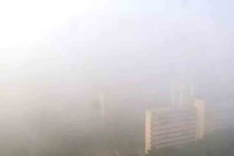 In Delhi, petrol and diesel will not be available without a pollution certificate.