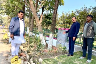 The road from Block D to Sector 10 Park Hospital is being renovated and beautified.