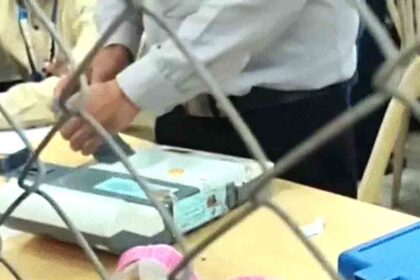 Maharashtra local body elections: NDA wins 213 seats; BJP wins the most with 118.