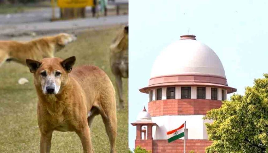 The Supreme Court said: How long will people have to suffer because of dogs?