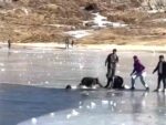 Two young men drowned after slipping on a frozen lake in Arunachal Pradesh; their bodies have been recovered. Both were from Kerala.