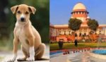 The Supreme Court said that substantial compensation will be fixed for dog bites.