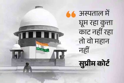 Singhvi said that rules regarding dogs already exist, and the court should not intervene.