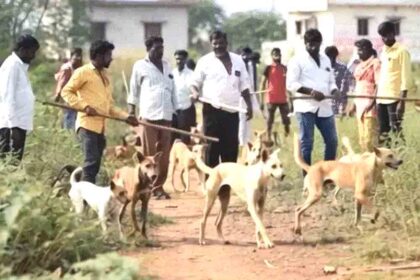 300 dogs killed by lethal injection in Telangana