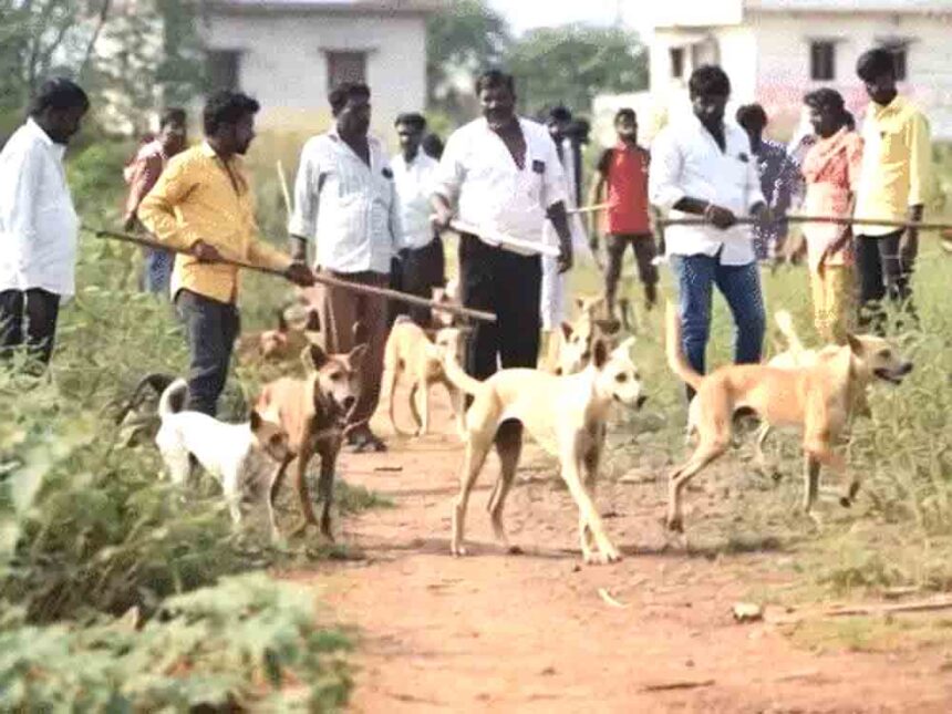 300 dogs killed by lethal injection in Telangana