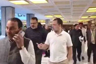 Rahul Gandhi's letter to Finance Minister Sitharaman: Wrote- Allocate adequate budget for Ex-Servicemen Contributory Health Scheme