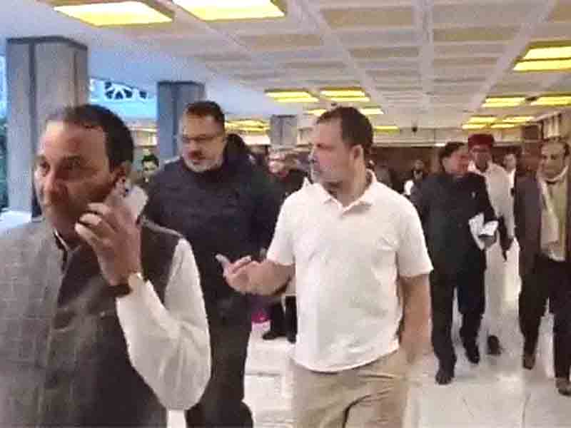 Rahul Gandhi's letter to Finance Minister Sitharaman: Wrote- Allocate adequate budget for Ex-Servicemen Contributory Health Scheme