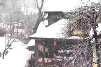 Hailstorm in Rajasthan and MP, fog in 30 districts of UP; snowfall in Himachal's Manali