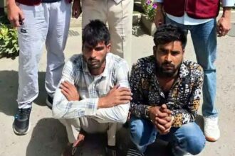 Two arrested for stealing earrings from an elderly woman