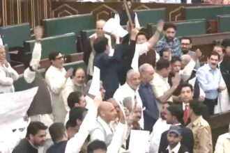 Scuffle between BJP and Congress MLAs in Jammu and Kashmir Assembly: Rahul called Pappu
