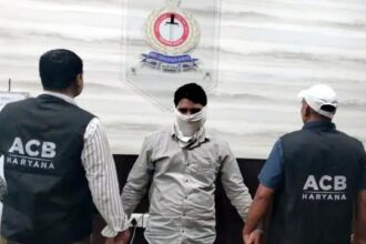 Electricity Corporation's CA arrested for taking bribe of Rs 50,000