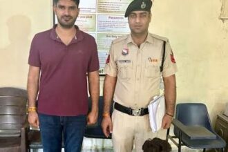 One accused arrested for cheating through matrimonial app