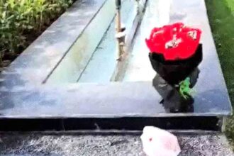 Car breaks into Delhi Assembly barrier: 3 including masked driver detained