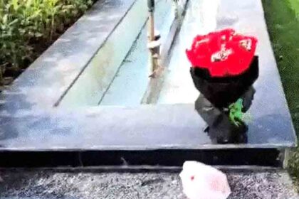 Car breaks into Delhi Assembly barrier: 3 including masked driver detained