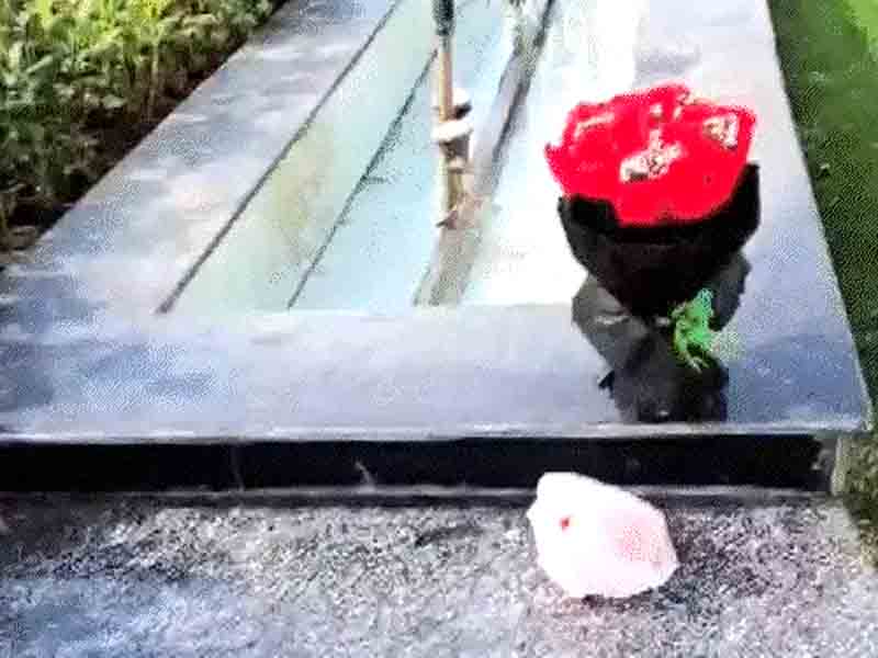 Car breaks into Delhi Assembly barrier: 3 including masked driver detained