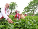 PM Modi plucks tea leaves at a tea garden in Assam, takes selfie with women workers