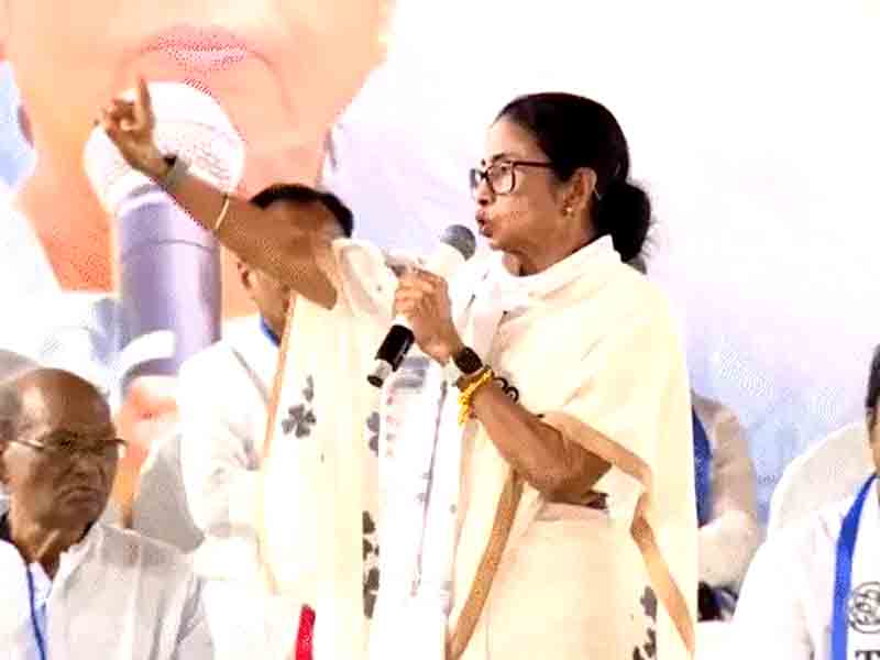Mamata alleges BJP will stage bomb blasts during elections: Actor Vijay releases manifesto in Tamil Nadu