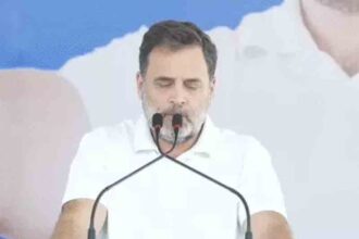 BJP releases manifesto for Tamil Nadu